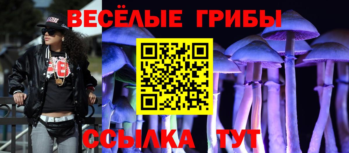 Альметьевск  Галлюциногенные грибы Psilocybine cubensis  Галлюциногенные грибы Psilocybine cubensis  Вход с VPN 
