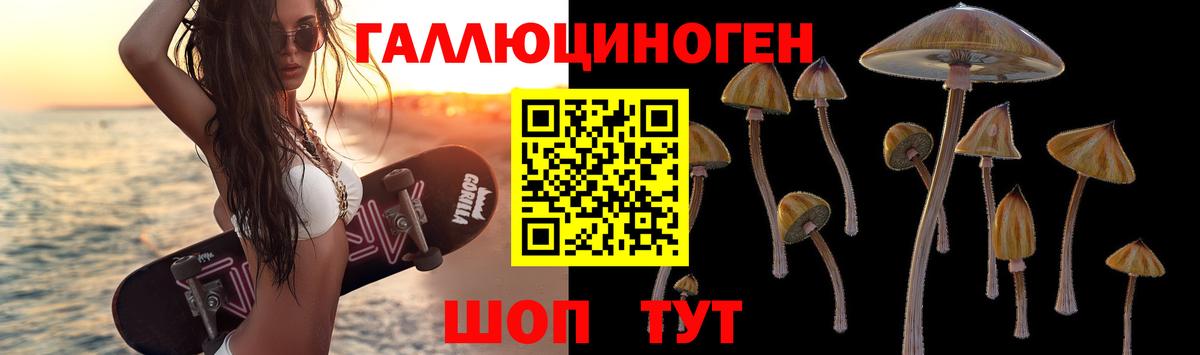Галлюциногенные грибы Psilocybine cubensis Альметьевск